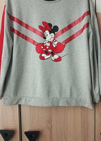 Walt Disney World 42