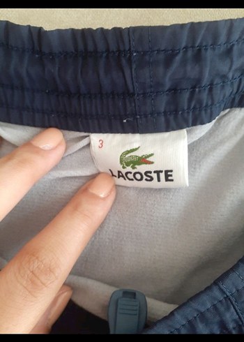 Lacoste Vintage Erkek Demiz Şortu - Görsel 2