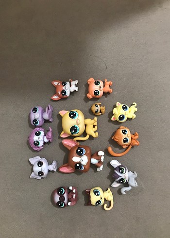 Lps minişler (açıklama )