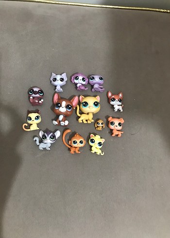 Lps minişler (açıklama )