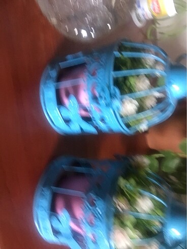 Kase şekerlik - Görsel 3