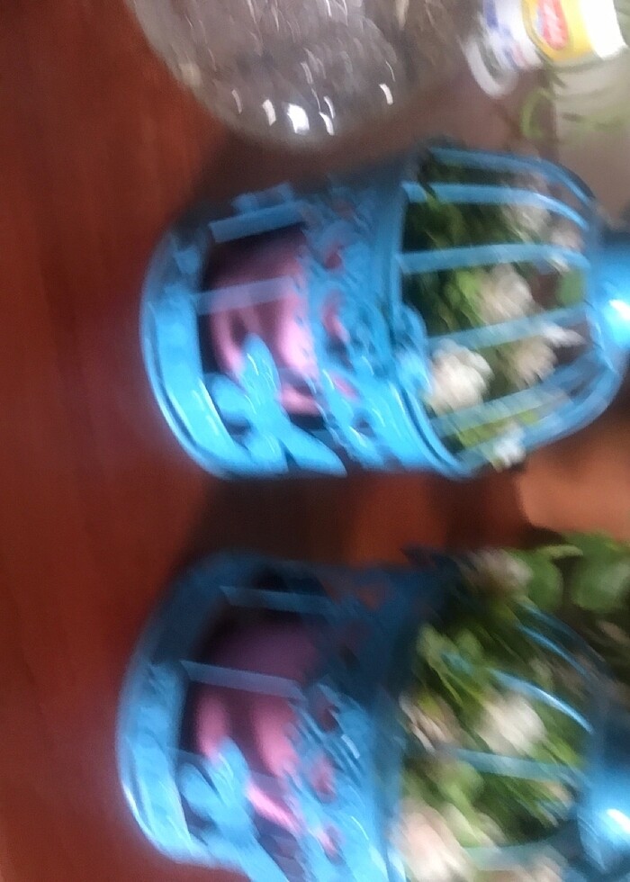 Kase şekerlik - Görsel 3