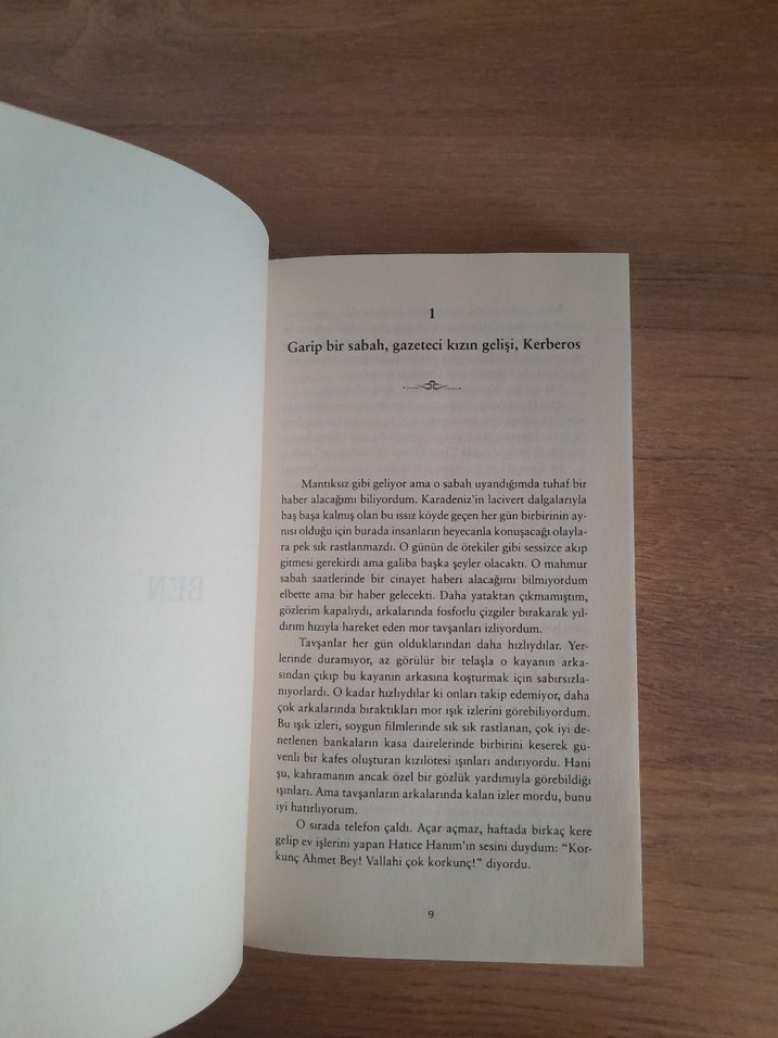 Kardeşimin Hikayesi - Zülfü Livaneli - Görsel 4