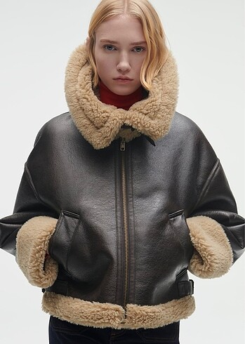 Zara Mont Ceket