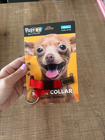 Puppet Köpek Boyun Tasması (S)