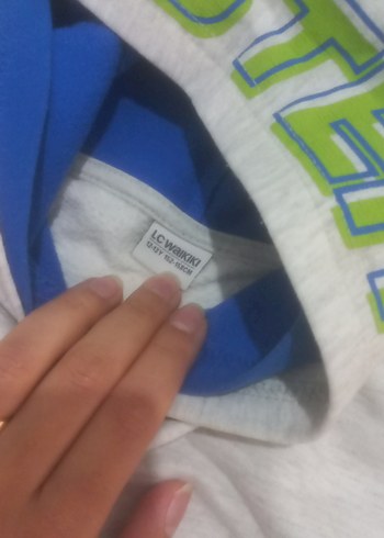 LC Waikiki Erkek Çocuk Kapüşonlu Fermuarlı Sweatshirt