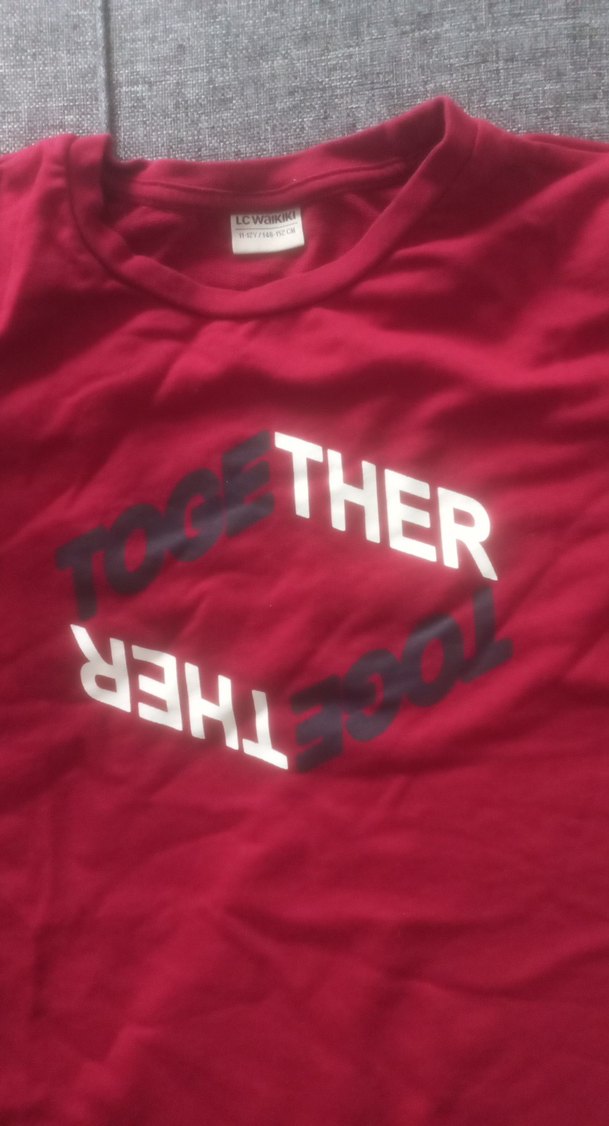 Kırmızı Baskılı Bisiklet Yaka Sweatshirt - Görsel 2