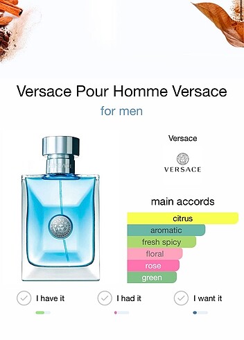 Versace Versace Pour Homme EDT 100ml