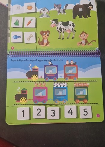  Beden Renk Cırt Cırtlı Etkinlik Kitabım 2-4 Yaş