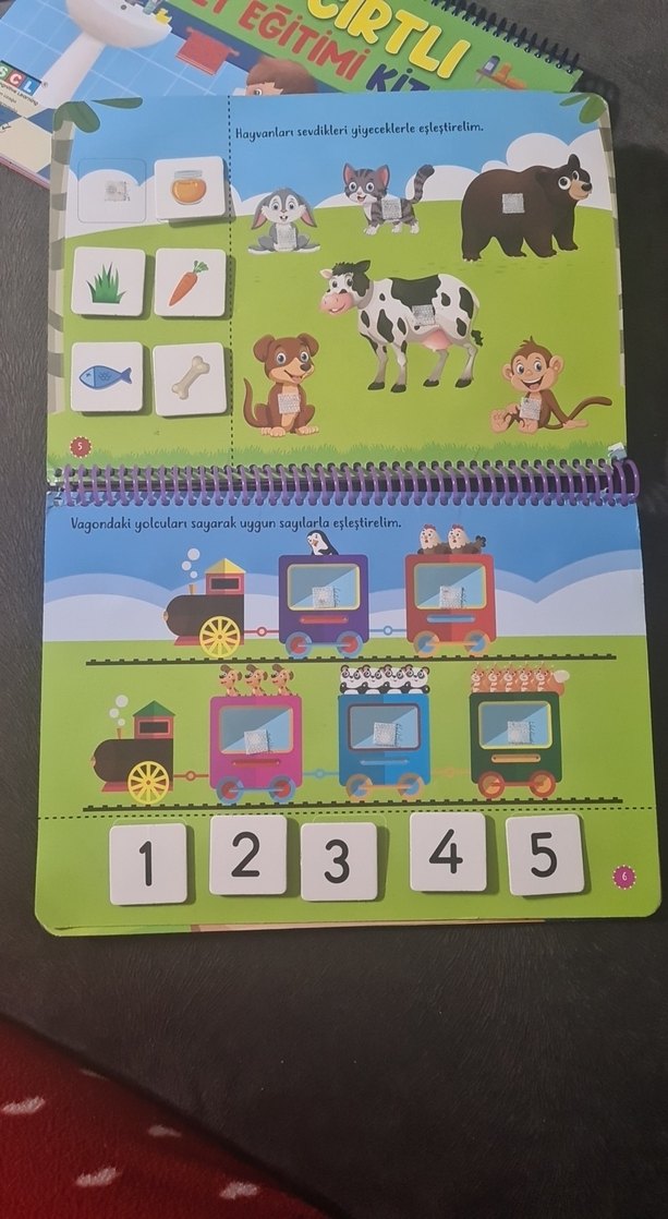 Cırt Cırtlı Etkinlik Kitabım 2-4 Yaş - Görsel 4