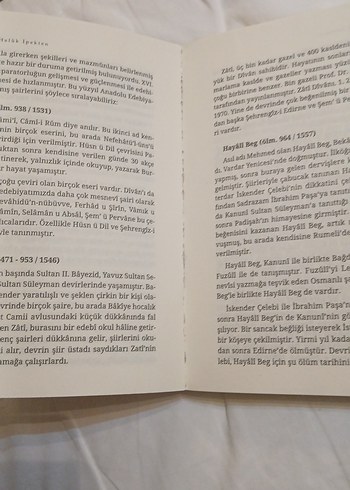 Fuzûlî Hayatı, Sanatı ve Eserleri Kitabı - Görsel 4