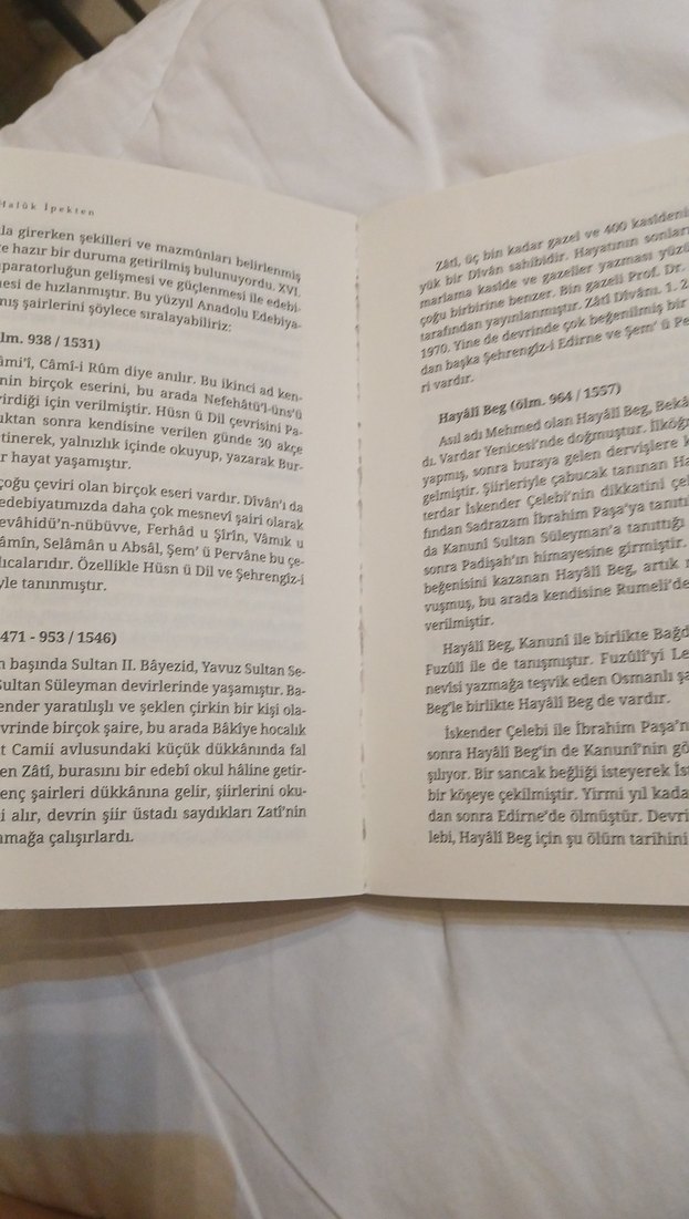 Fuzûlî Hayatı, Sanatı ve Eserleri Kitabı - Görsel 4