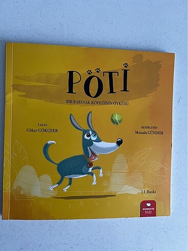 Çocuk hikaye öykü kitabı pöti