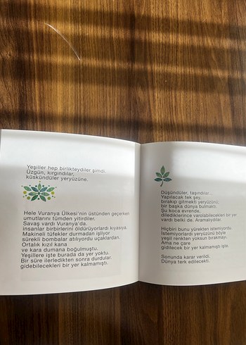 Mut Teyze'nin Bahçesi - Ayla Çınaroğlu - Görsel 2