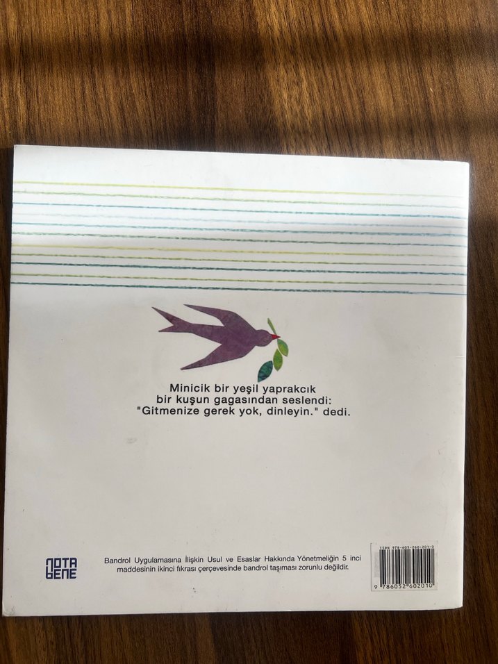 Mut Teyze'nin Bahçesi - Ayla Çınaroğlu - Görsel 3