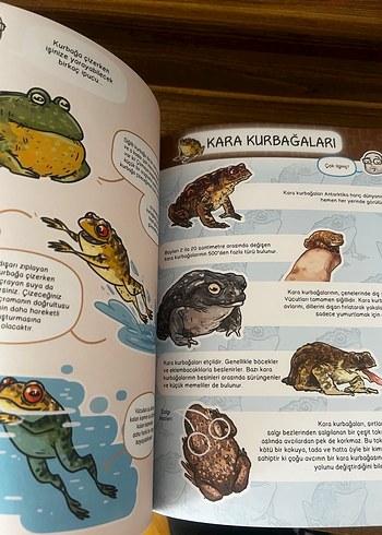 Çizmeli Harikalar - Karada Çocuk Kitabı - Görsel 3