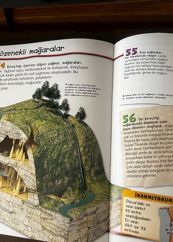 Dünya Hakkında 100 Gerçek Kitabı - Görsel 3