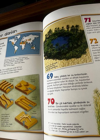 Dünya Hakkında 100 Gerçek Kitabı - Görsel 4
