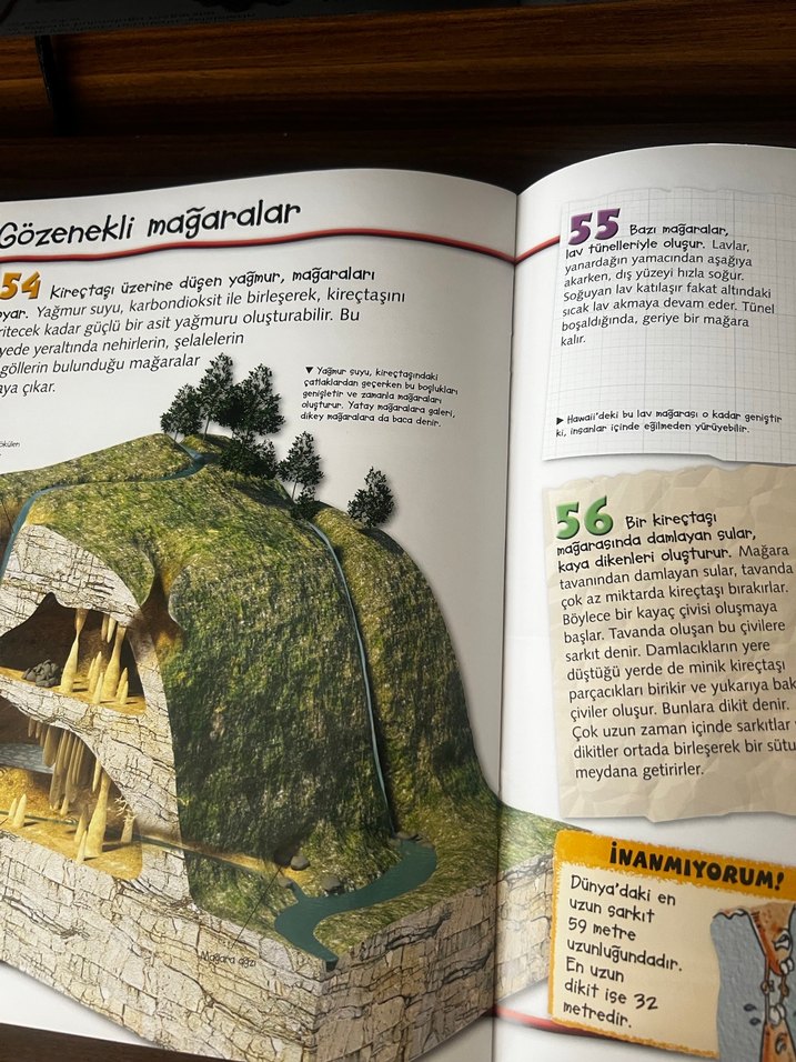 Dünya Hakkında 100 Gerçek Kitabı - Görsel 3