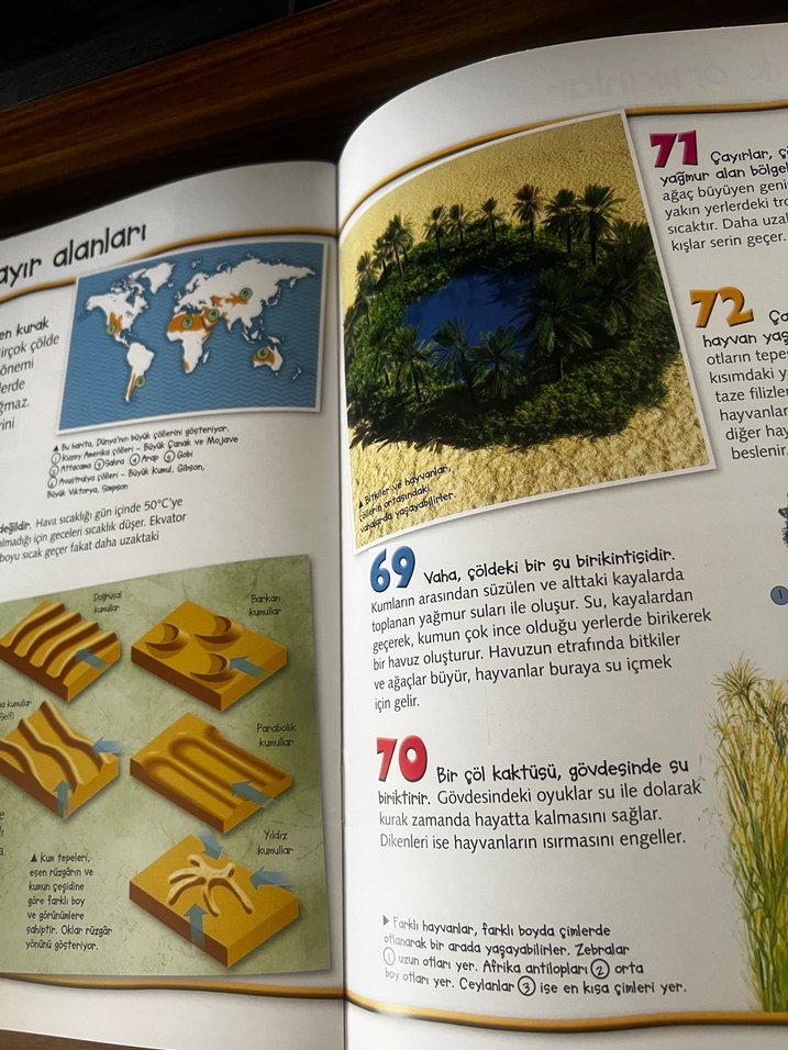 Dünya Hakkında 100 Gerçek Kitabı - Görsel 4