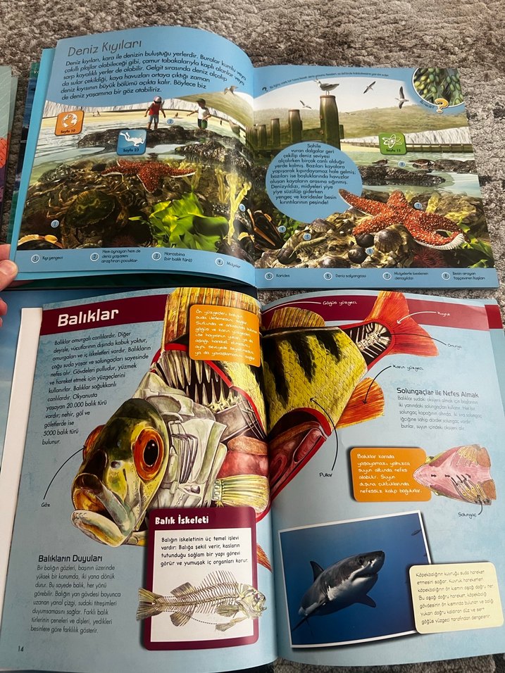 Çocuk Kitapları Seti: Hayvanlar, Taşıtlar ve Dünya - Görsel 5