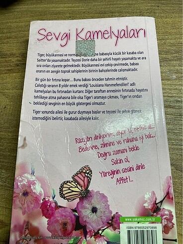  Beden Renk SEVGİ KAMELYALARI