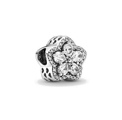 kartanesi charm