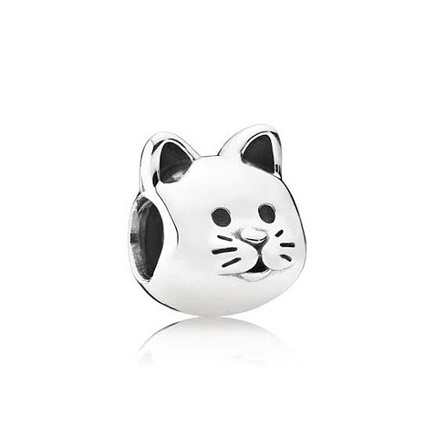 kedi charm