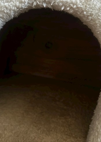 Beyaz Tüylü Kedi Evi ve Tırmalama Direği - Görsel 4