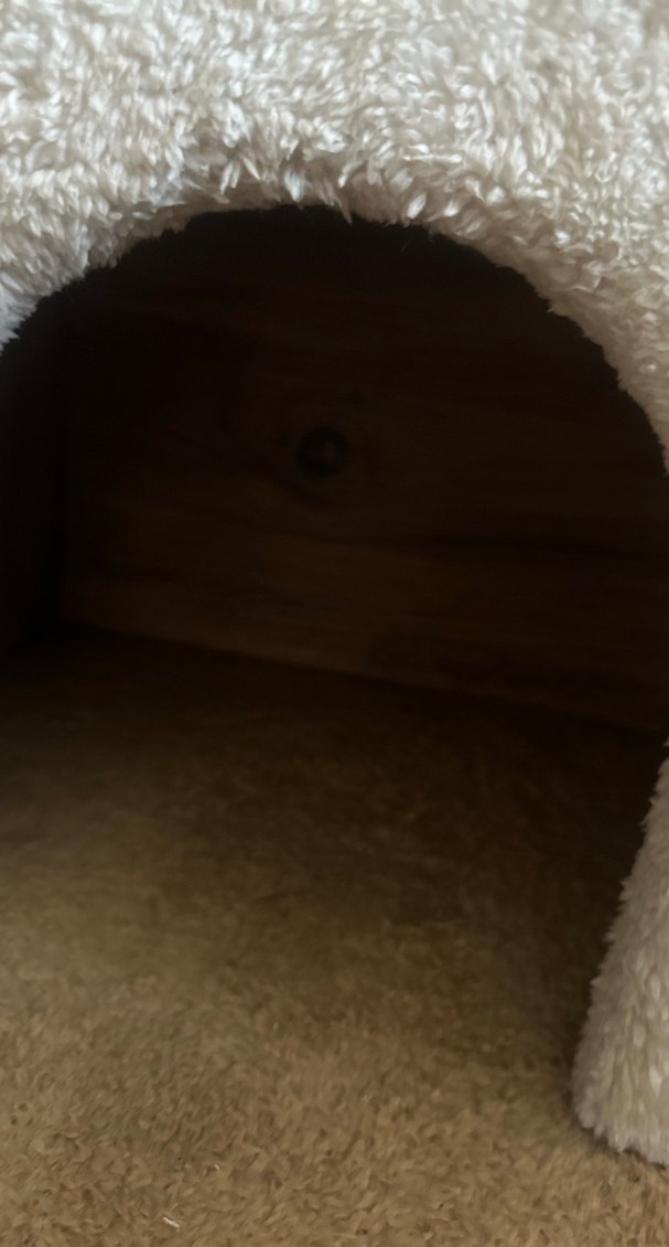 Beyaz Tüylü Kedi Evi ve Tırmalama Direği - Görsel 4