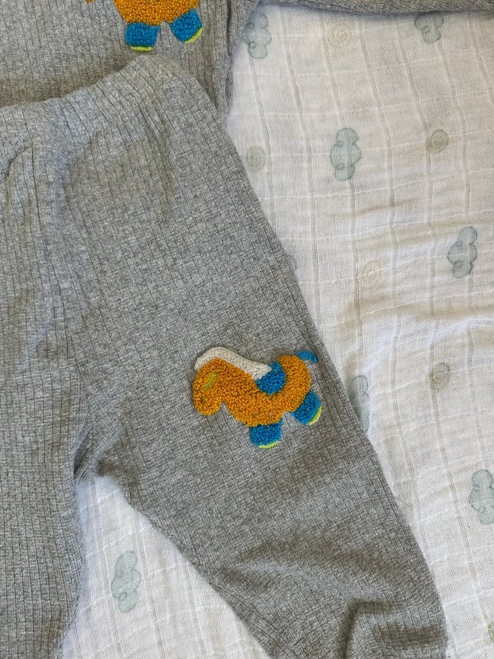 Gri Triko Erkek Bebek Takımı Nakışlı - Görsel 3