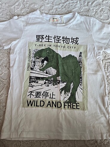 5 Yaş Beden Tshirt çeşitleri 5-6-7 yaş aralığı