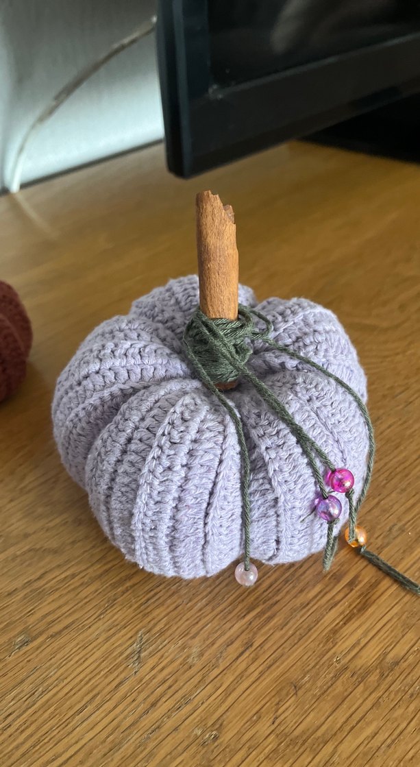 El Örgüsü Dekoratif Balkabağı Seti - Görsel 3