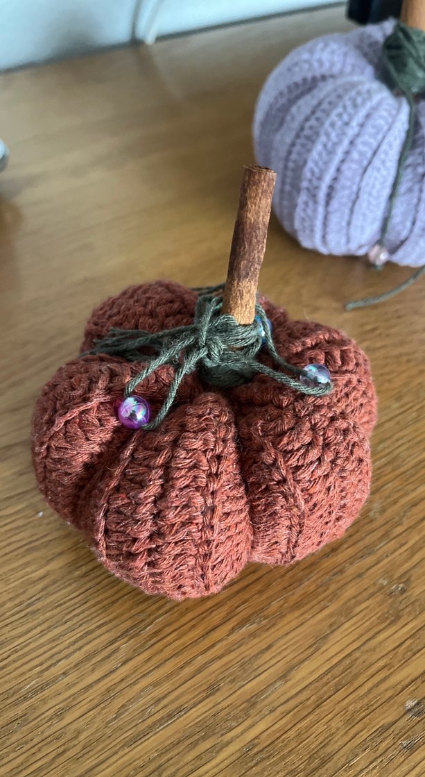 El Örgüsü Dekoratif Balkabağı Seti - Görsel 2