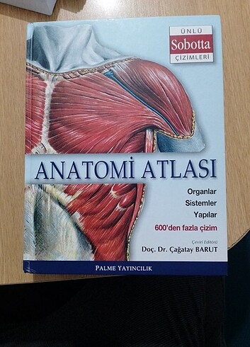 Anatomi atlası sobotto