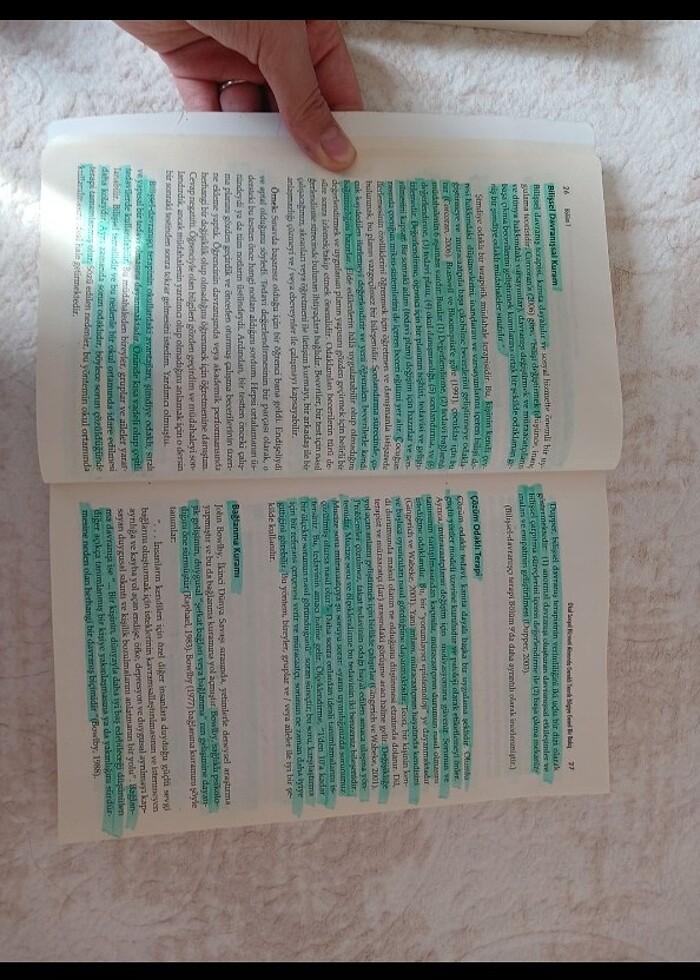 Okul sosyal hizmeti - Görsel 2