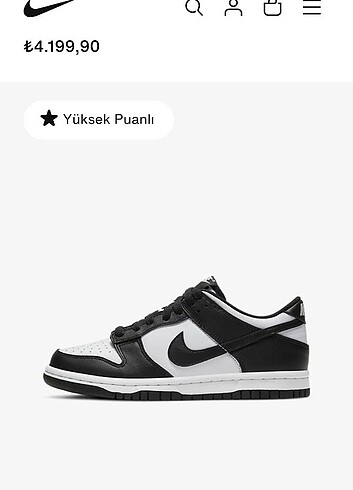 Nike NİKE Dunk low panda 