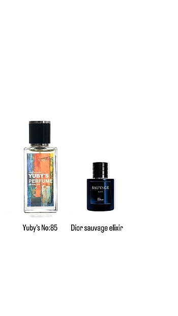 Sauvage ELİXİR