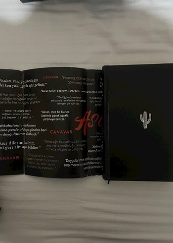 Asel - Sena Nur Işık Roman - Görsel 4