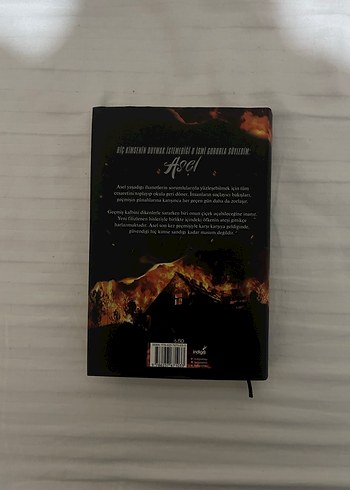 Asel - Sena Nur Işık Roman - Görsel 3