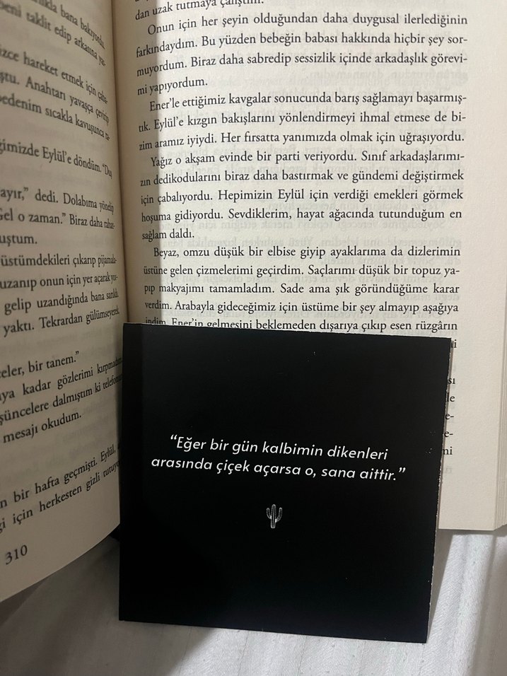 Asel - Sena Nur Işık Roman - Görsel 5