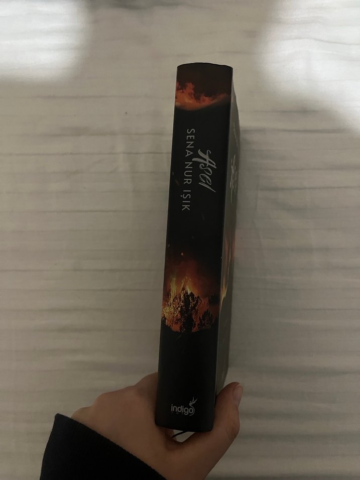 Asel - Sena Nur Işık Roman - Görsel 2