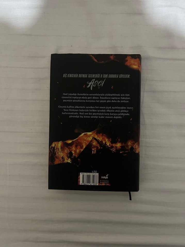 Asel - Sena Nur Işık Roman - Görsel 3