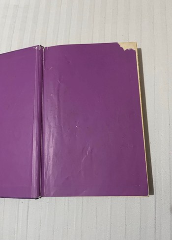 Saftirik Greg'in Günlüğü - Ama Bu Haksızlık! - Görsel 2