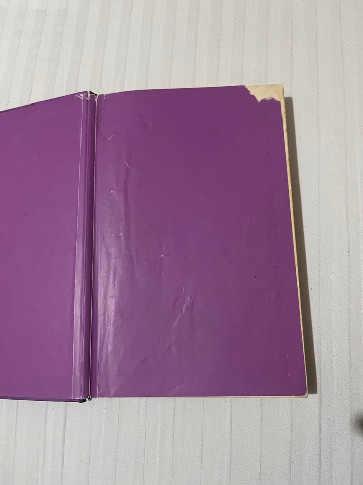 Saftirik Greg'in Günlüğü - Ama Bu Haksızlık! - Görsel 2