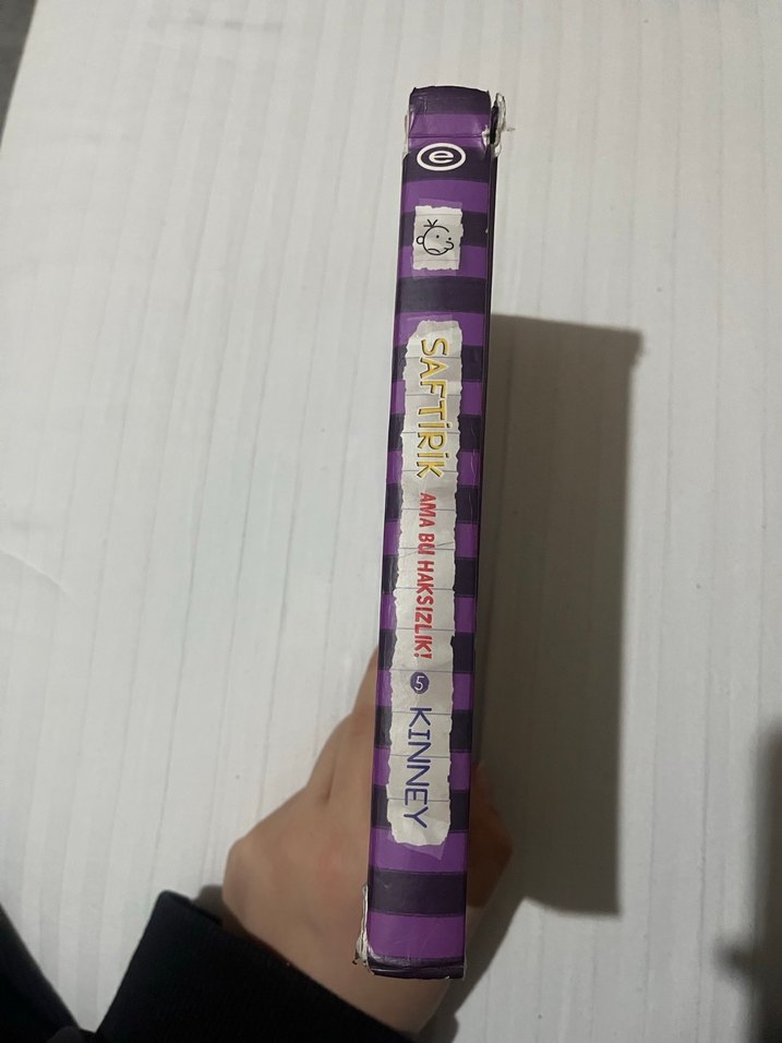 Saftirik Greg'in Günlüğü - Ama Bu Haksızlık! - Görsel 3