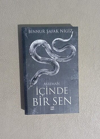İçinde Bir Sen Asreman 