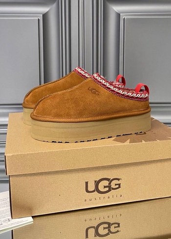 Ugg Tazz Terlik