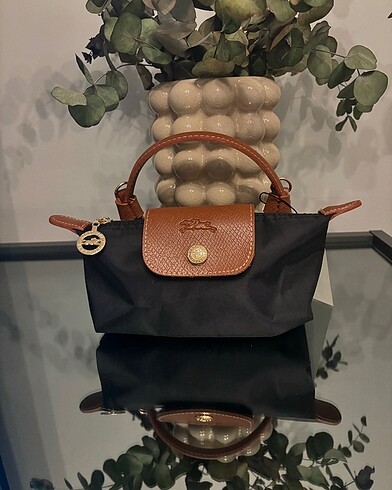 LongChamp XS Pouch
