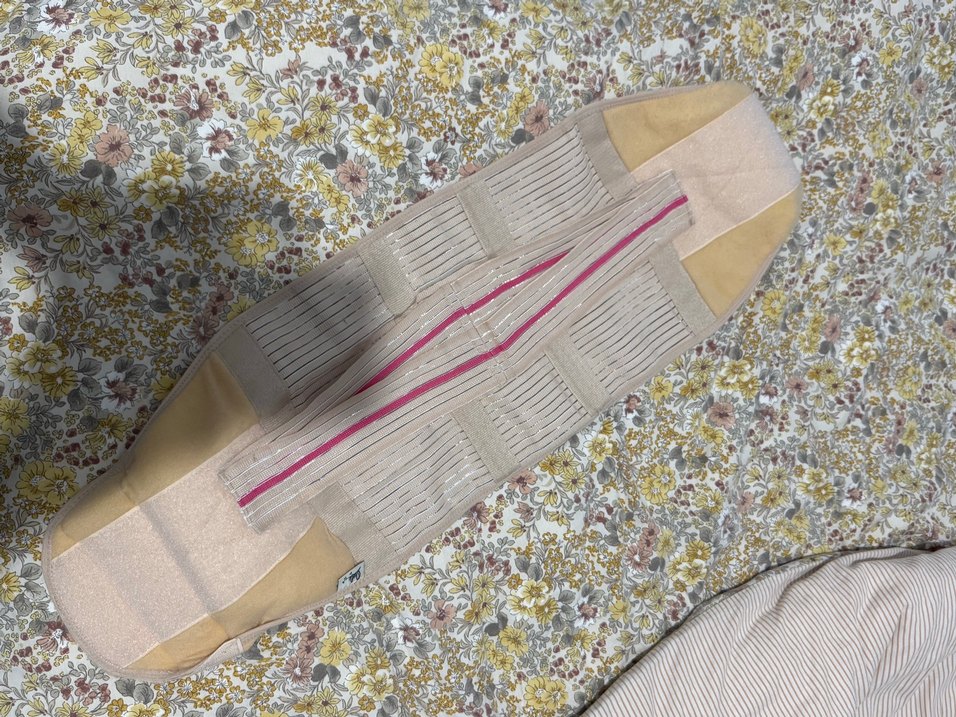 Owli korse - Görsel 2